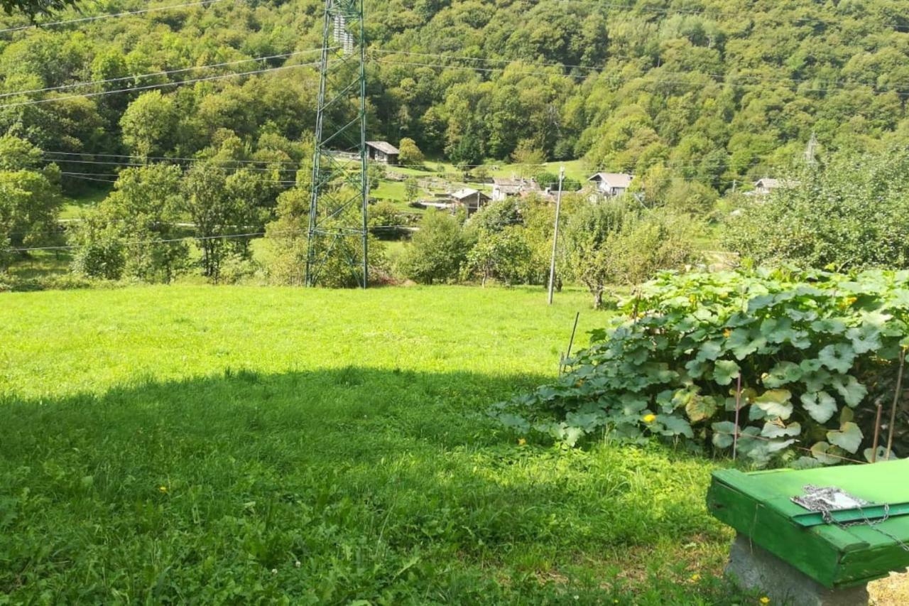 Locana Il Bilocale Della Nonna 빌라 외부 사진